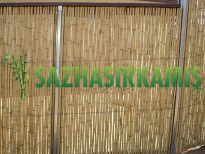 Bambu Çit