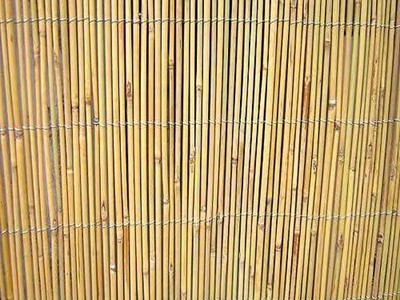 Bambu Paravan