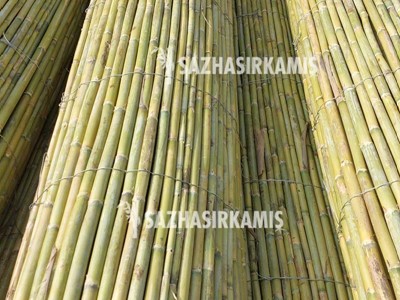 Bambu Paravan