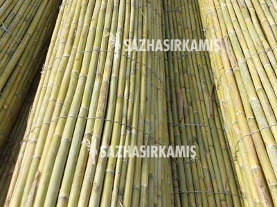 Bambu Çit