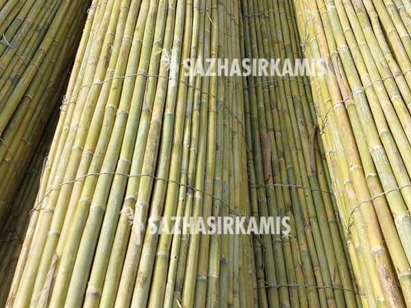 Bambu Çit