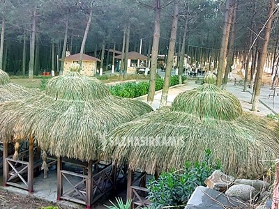 Doğal Ot Kaplama