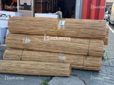 Saz Kamış Çit
