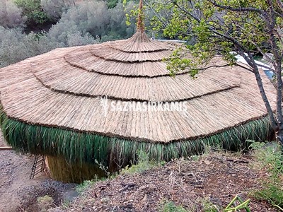 Kamış Çatı