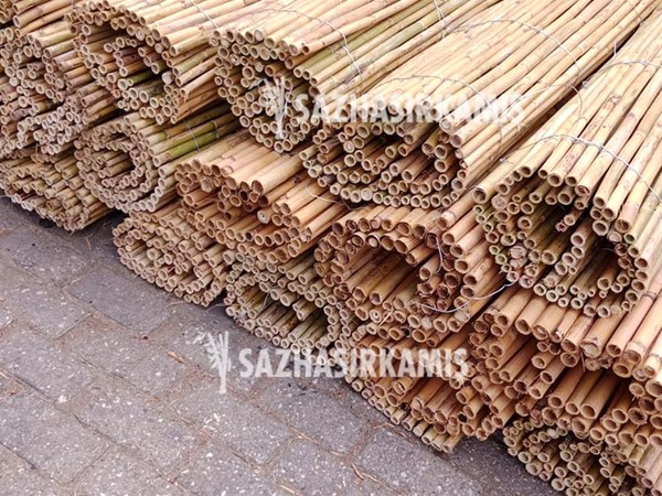 Bambu Kamış