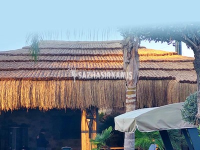 Kamış Çatı