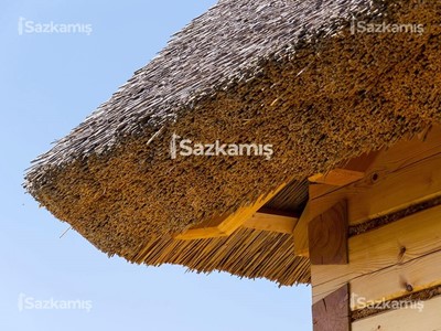 Kamış Çatı