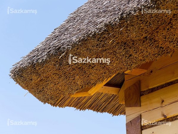 Kamış Çatı