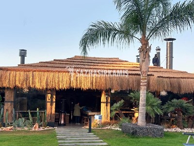 Bali Evi  ve Hasır Kamelya 